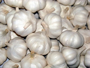 bawang putih/ garlic